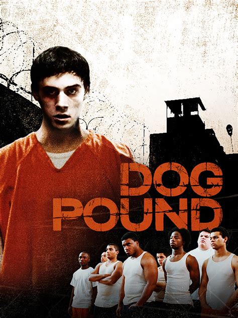 dog pound cast|Meet the Cast of Dog Pound Movie 